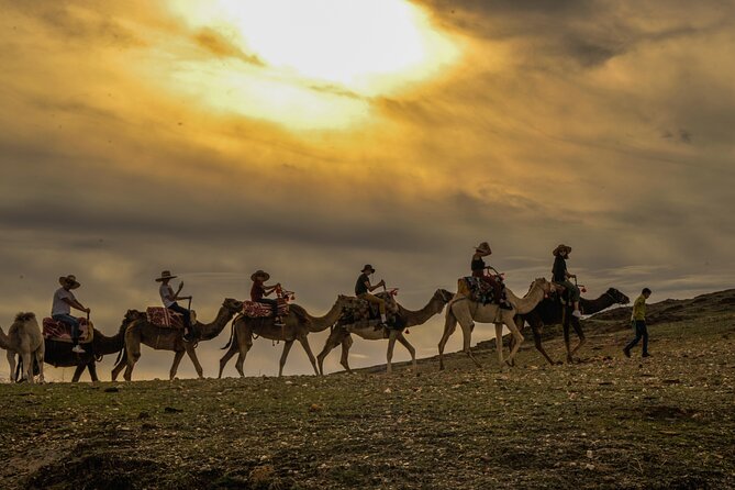 Agafay Desert - Quad camel and dinner show - Who this tour fits best (and who should reconsider)