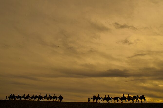 Agafay desert - Quad, camel, and dinner show - Camp comforts in a lunar stone setting: what to expect