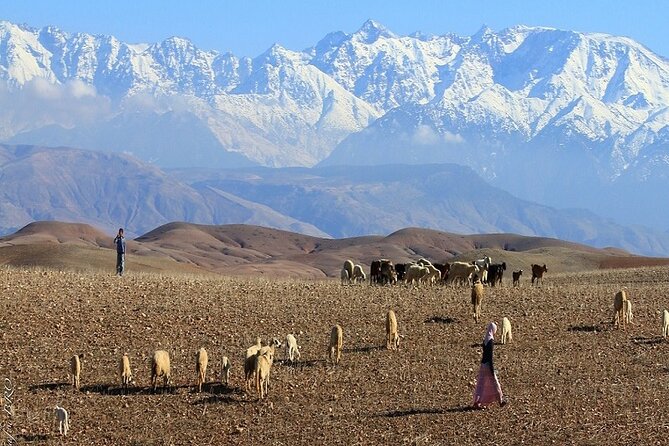 Agafay Desert sunset, camel ride, dinner - Key things to know before you go