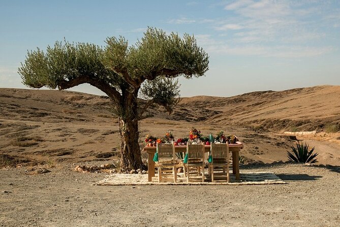 Agafay Desert sunset, camel ride, dinner - Camel ride on a Berber trail: what 1 hour actually feels like