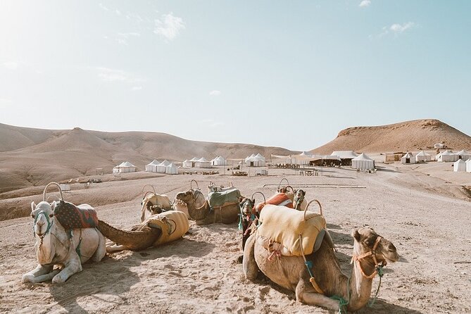 Agafay Desert sunset, camel ride, dinner - Sunset above the rocky dunes: the moment the whole tour clicks