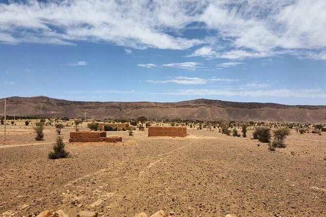 Agafay Desert sunset, camel ride, dinner - Price and value: how $82.23 per person stacks up