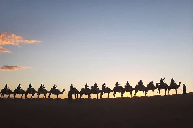 Agafay Desert: Sunset Camel Ride, Dinner & Fire Show - Service that makes the whole thing feel easy (Tareq and Mourad)
