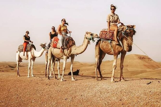 Agafay Desert & Sunset Camel Ride From Marrakech - Pickup, Timing, and How the Evening Actually Flows