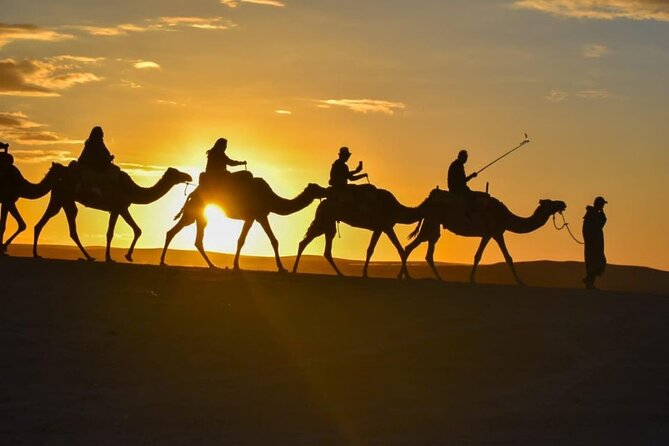 Agafay Desert Sunset Camel Ride with Dinner in Camp - Desert camp dinner: tagines, mint tea, and a live fire show