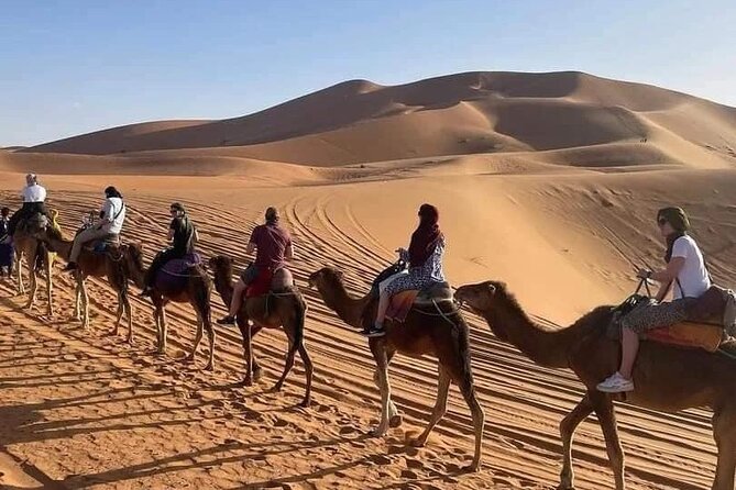 Agafay Desert Sunset Camel Ride with Dinner in Camp - Price and what you’re really getting for about $12.78