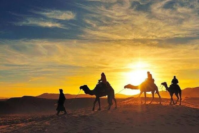 Agafay Desert Sunset Camel Ride with Dinner in Camp - Timing, vehicle comfort, and language: how to make the evening smoother