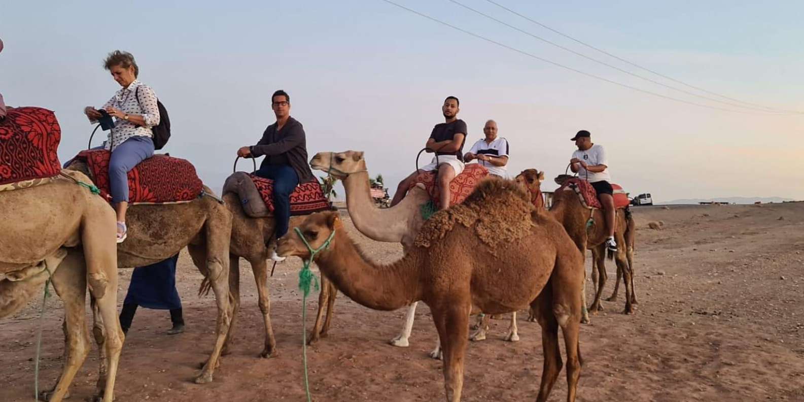 Agafay Desert : Sunset Dinner & Camel ride - Price and Value: The Real Math for This $35 Tour