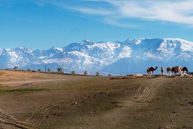 Agafay Desert Sunset tour with camel ride ,dinner and show - Key moments that make this Agafay sunset tour worth it