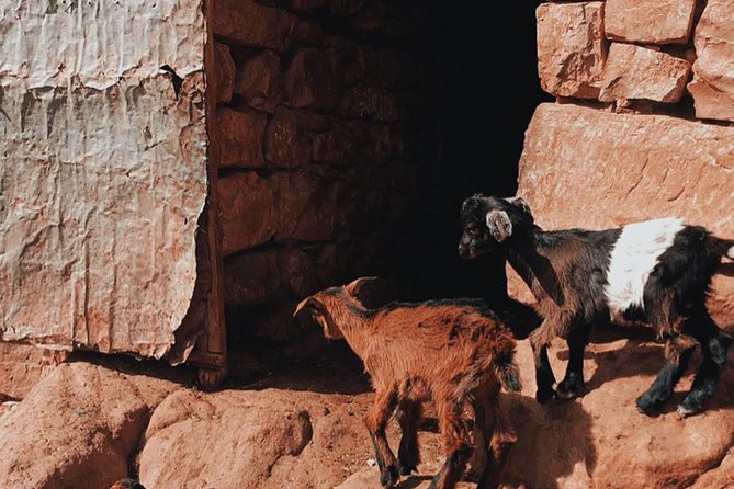Agafay Desert: Three Valley Guided Tour From Marrakech - Price and Value: What You Actually Get for About $22