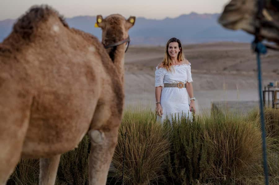 Agafay Desert Tour: Quad, Camel, Lunch & Pool Access - Pickup and Van Ride: Getting Out of Marrakech Without Hassle