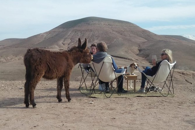 Agafay Desert: Your Exclusive Luxury Retreat Under the Stars - Key points to know before you go