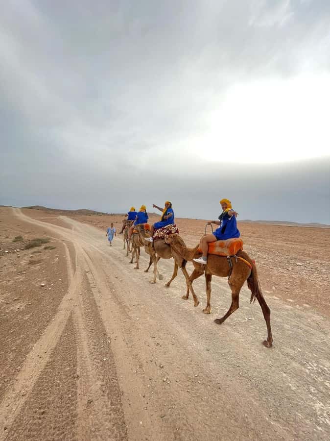 Agafay experience : Dinner with sun set camel or quad ride - Key Things I’d Pay Attention To