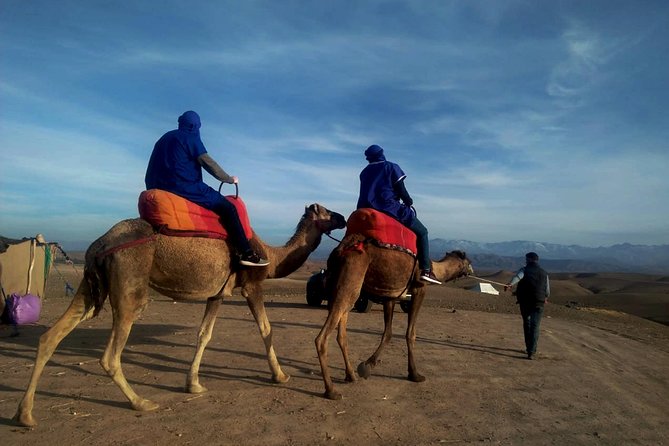 Agafay Half Day Rocky Desert Experience – Quad Bike & Camel Ride - Key highlights