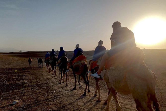 Agafay Half Day Rocky Desert Experience – Quad Bike & Camel Ride - Getting there: pickup, ride comfort, and your first check-in