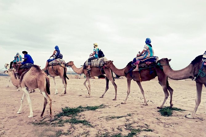 Agafay Half Day Rocky Desert Experience – Quad Bike & Camel Ride - Quad bike 101: you get geared up before you go fast