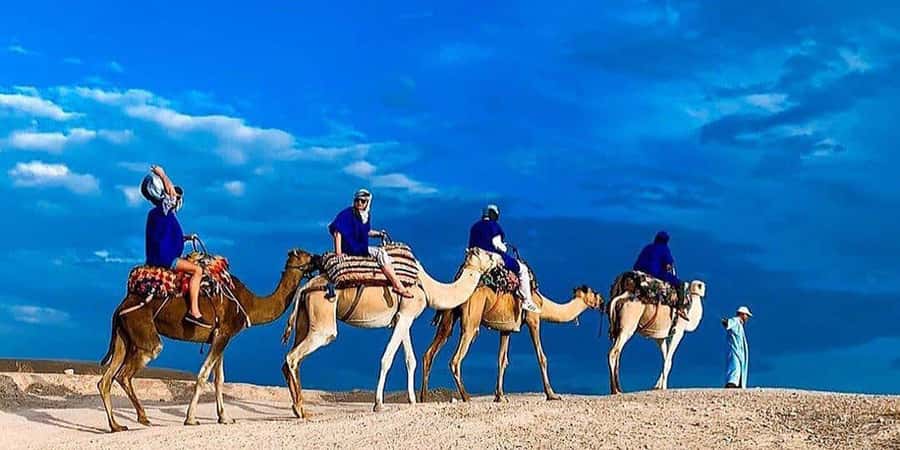 Agafay: Half-Day Rocky Desert Quad & Camel Ride with Lunch - Should you book this Agafay camel and quad tour?