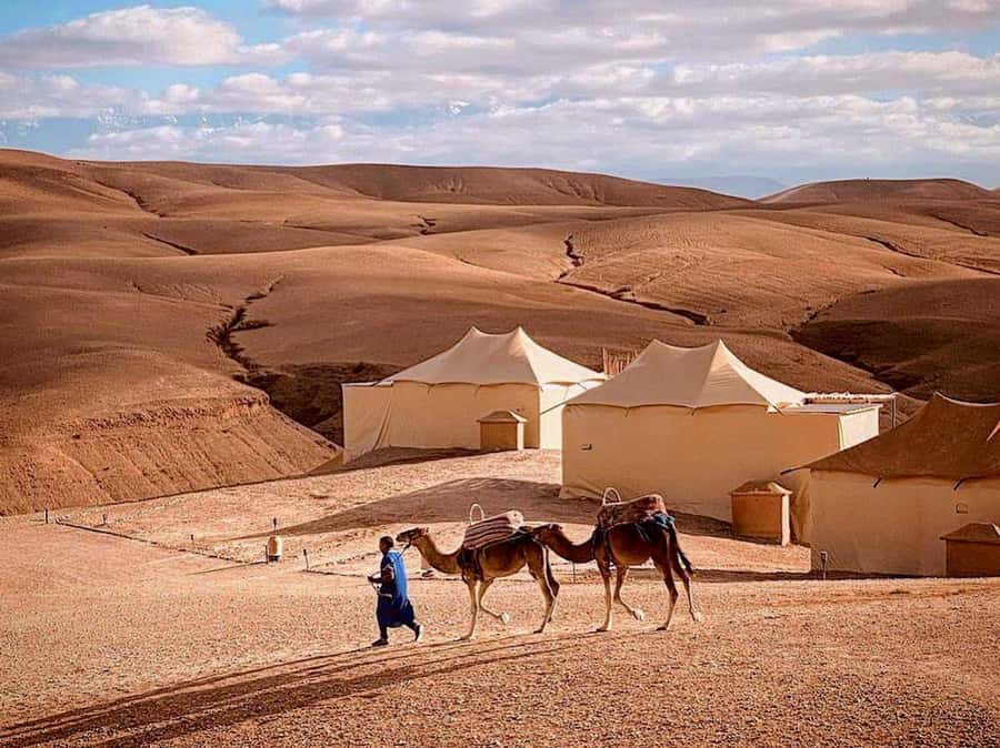 Agafay: Half-Day Rocky Desert Quad & Camel Ride with Lunch - Price and value: is $35 fair for 6 hours?