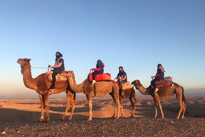 AGAFAY Historical Desert Dinner Sunset Camel Ride Hotel Transfer - The One-Hour Camel Ride: What You’ll Actually Do at Sunset