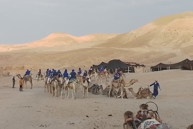 AGAFAY Historical Desert Dinner Sunset Camel Ride Hotel Transfer - Transport Comfort and Who the Driver Setup Is Best For
