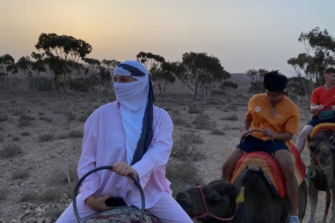 Agafay : Luxury Dinner in the Desert with Camels - Price and Logistics: What $52 Really Buys You