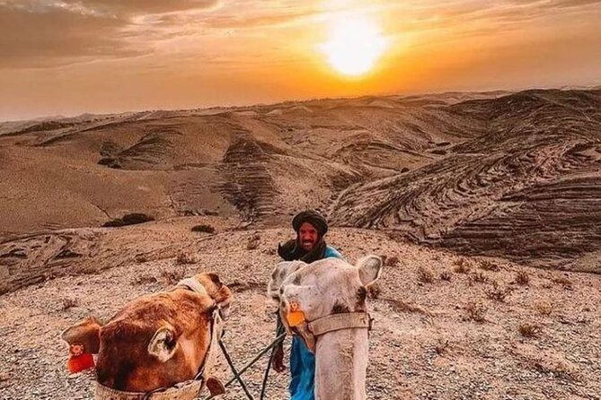 Agafay Marrakech dinner show with quad bike and camel ride - The camel ride: what to expect in rocky Agafay