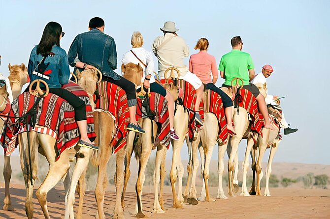 Agafay Quad Bike, camel ride, sunset, dinner & show - Who This Tour Suits Best (And Who Might Want Something Else)