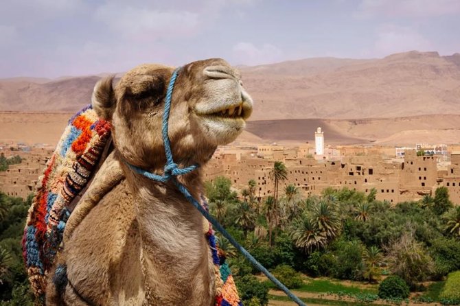 Ait ben haddou and Ouarzazate day trip - Shared vs Private: When Flexibility Is the Real Upgrade
