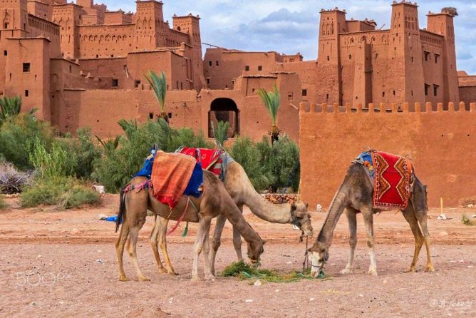 Ait ben haddou and Ouarzazate day trip - Aït Benhaddou Ksar: Fortified Village Walking + the Lunch Window