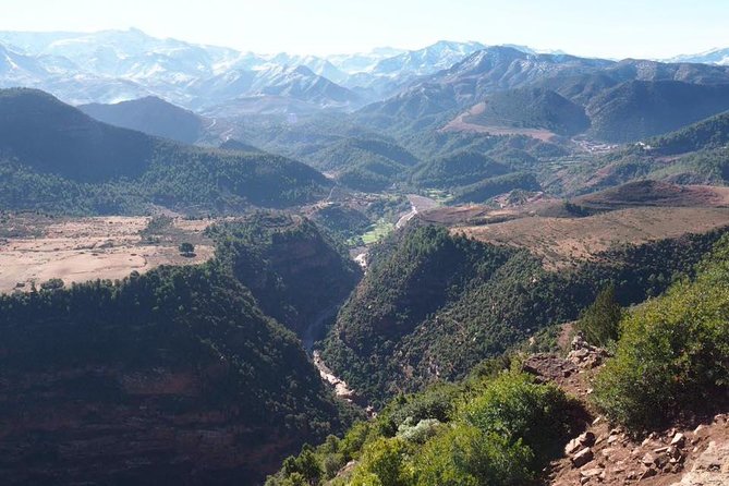 Ait Ben Haddou Guided Day Tour from Marrakech - Price and value: what you’re paying for at $223.82 per person