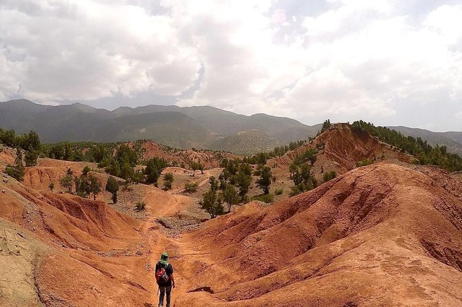 Ait Ben Haddou Kasbahs & Atlas Mountains - Day trip from Marrakech - private - Should you book it? My practical take