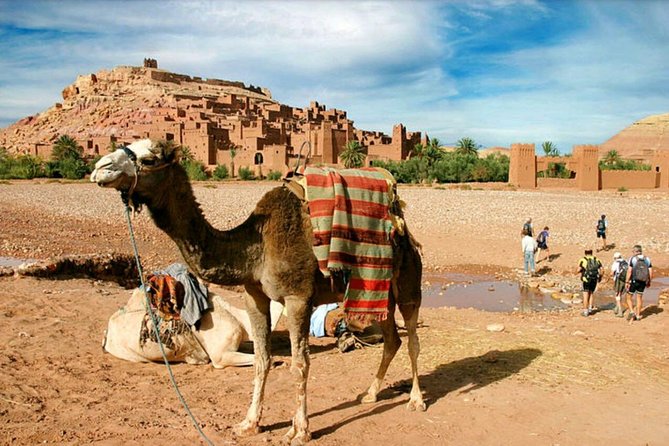 Ait Benhaddou day trip - Key highlights you’ll care about