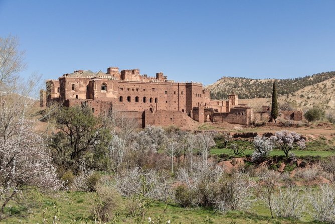 Ait Benhaddou day trip - Lunch on the Atlas day: included food, local hospitality, and real warmth