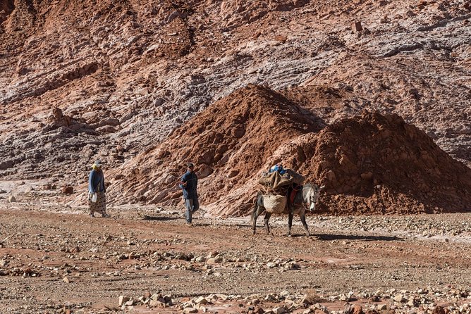 Ait Benhaddou day trip - Price and value: is $75.92 worth the day?