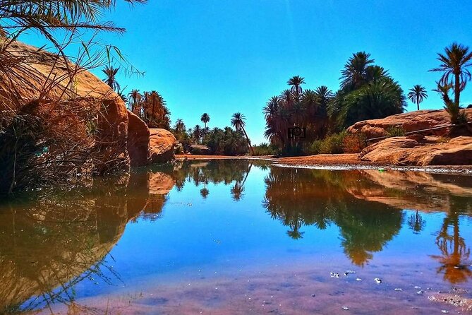 Ali Baba Oasis And The Old Medina Of Taroudant Private Day Tour - Pickup and timing from Agadir: the day starts early and stays smooth
