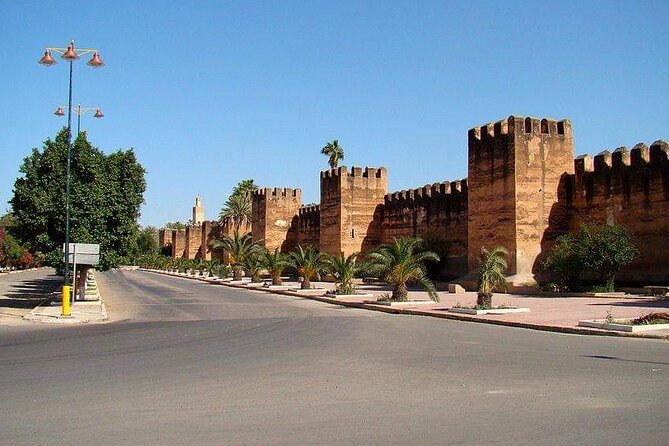 Ali Baba Oasis And The Old Medina Of Taroudant Private Day Tour - The guide can make or break the day: Abdell’s family-friendly style