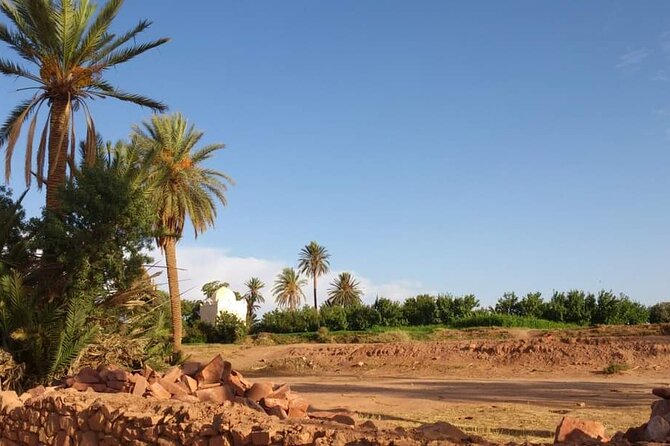 Ali Baba Oasis And The Old Medina Of Taroudant Private Day Tour - Should you book Ali Baba Oasis and the Old Medina of Taroudant?