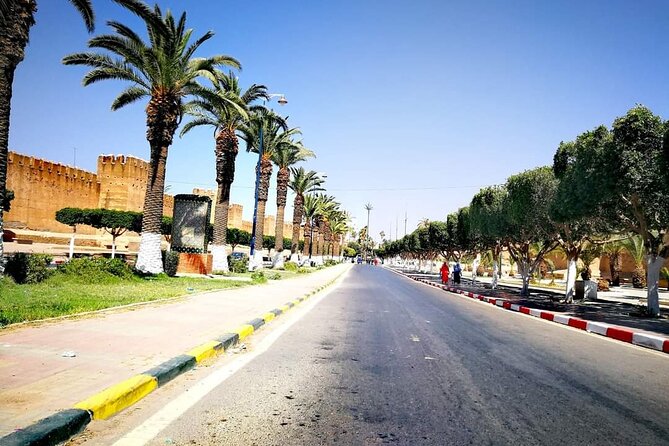 Ali Baba Oasis And The Old Medina Of Taroudant Private Day Tour - Taroudant old medina time: mud walls, market browsing, and real shopping