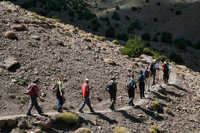 All in One - Special Day With the Berbers - Atlas Mountains - Marrakech to the High Atlas: why this day trip works
