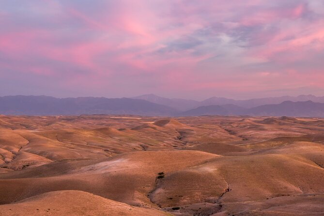 Amazing Dinner in Agafay Desert with Sunset and Berber Camp - Agafay Desert After Dark: Why This Feels Different From a City Tour