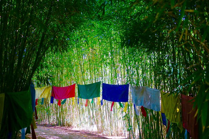 Anima Garden Admission Ticket - How Long to Plan (1 to 4 Hours) and When It Fits Marrakech Days
