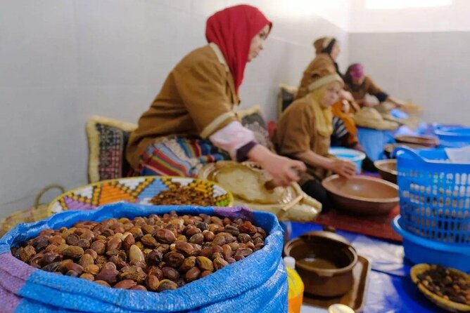 Argan Tree-Climbing Goats Morning Tour From Agadir - Who should book this goat-and-argan morning?