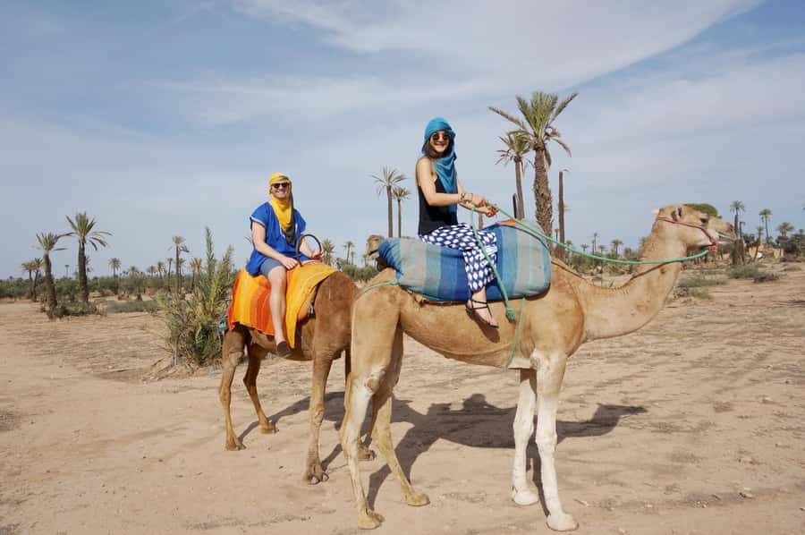 Around Marrakech: Camel Ride in Palm Groves including Tea - Value for $47: why this price can make sense