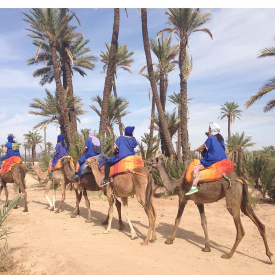 Around Marrakech: Camel Ride in Palm Groves including Tea - Passing through nearby villages: seeing daily life at walking speed