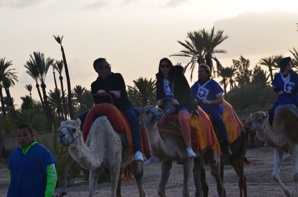 Around Marrakech: Camel Ride in Palm Groves including Tea - Moroccan mint tea break: the pause that makes it feel complete