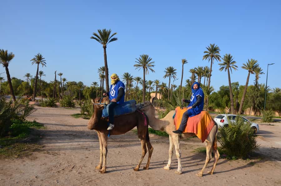 Around Marrakech: Camel Ride in Palm Groves including Tea - Who this Marrakech camel-and-tea trip suits (and who should skip it)