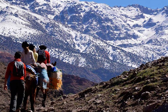 Asni and Imlil Day Tour with Lunch in Kasbah Toubkal Included - What to Expect From the Group Size and Guide Style