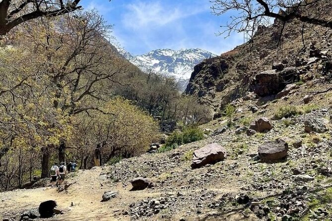 Atlas Bound: Marrakech's 5 Valleys Expedition - Who This Tour Fits Best (and Who Might Want Another Plan)