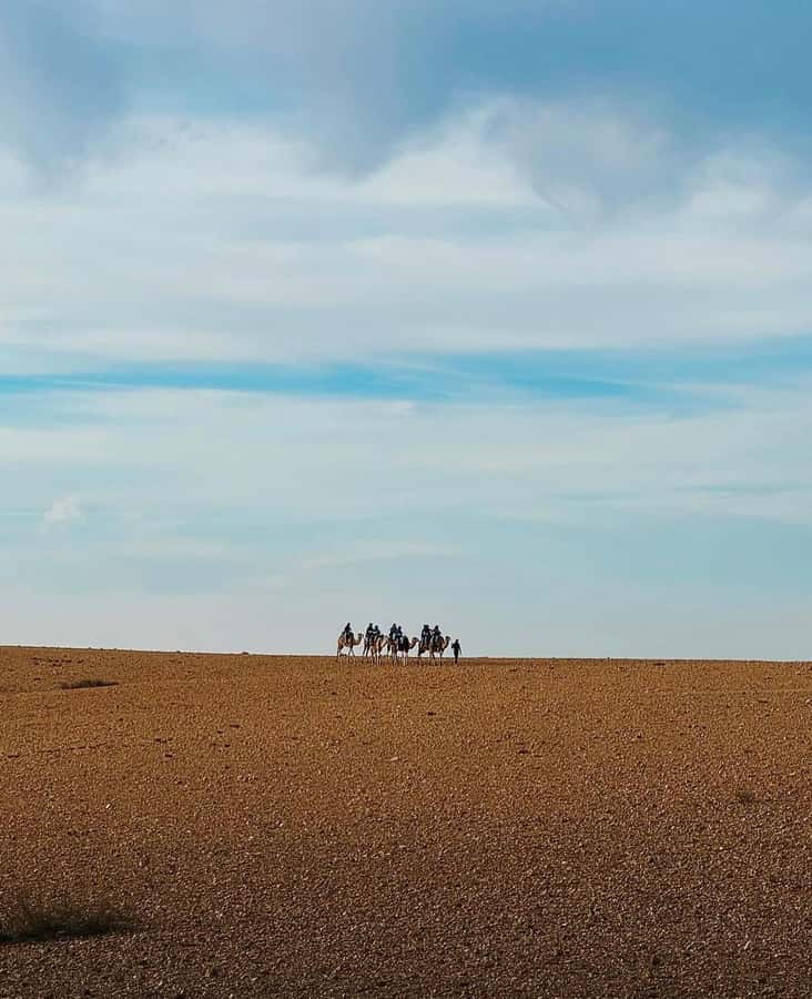 Atlas Mountain & Agafay:Quad Biking and Camel Ride Adventure - Agafay Desert quad biking: the adrenaline hour