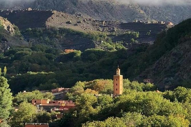 Atlas Mountain& berber village Day trip from Marrakech - Morning Drive From Marrakech: Trading Traffic for High Atlas Air